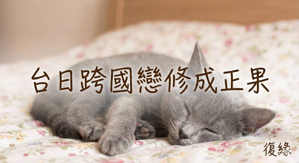 台日跨國戀修成正果-復緣法術成功案例首圖，背景為客戶婚後飼養的幸福貓咪